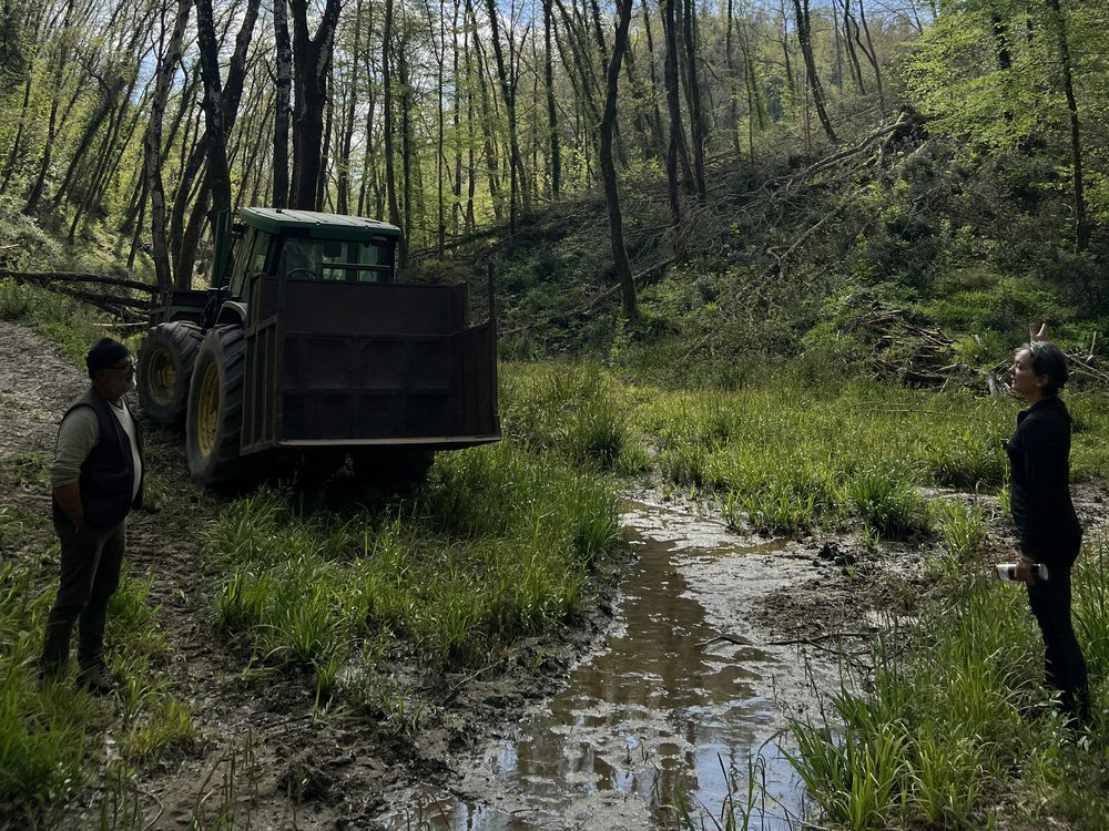 Sopralluogo in bosco con il titolare dell’azienda e il trattore forestale