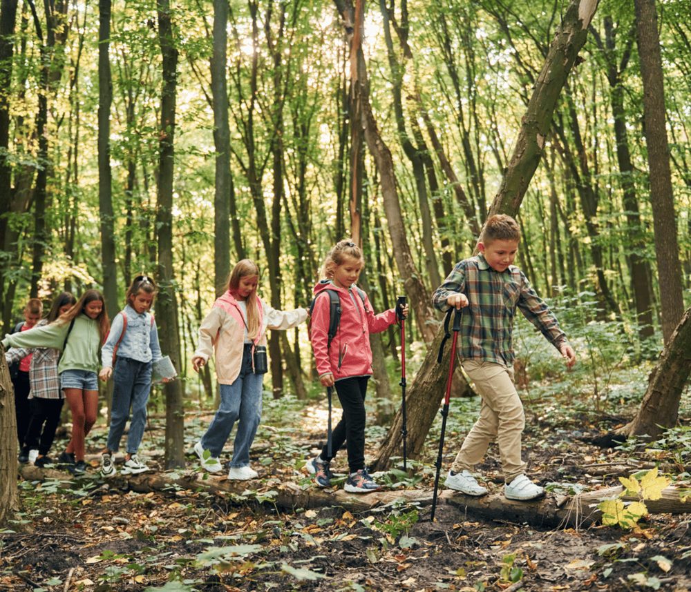 Gruppo di bambini in cammino lungo un sentiero nel bosco